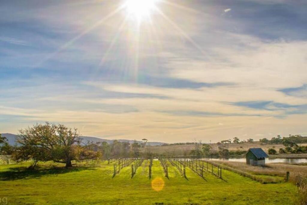 *Newly Relisted* Coach House At Lisdillon Vineyard Villa Little Swanport ภายนอก รูปภาพ